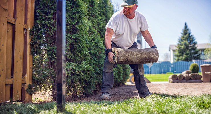 landscaping business